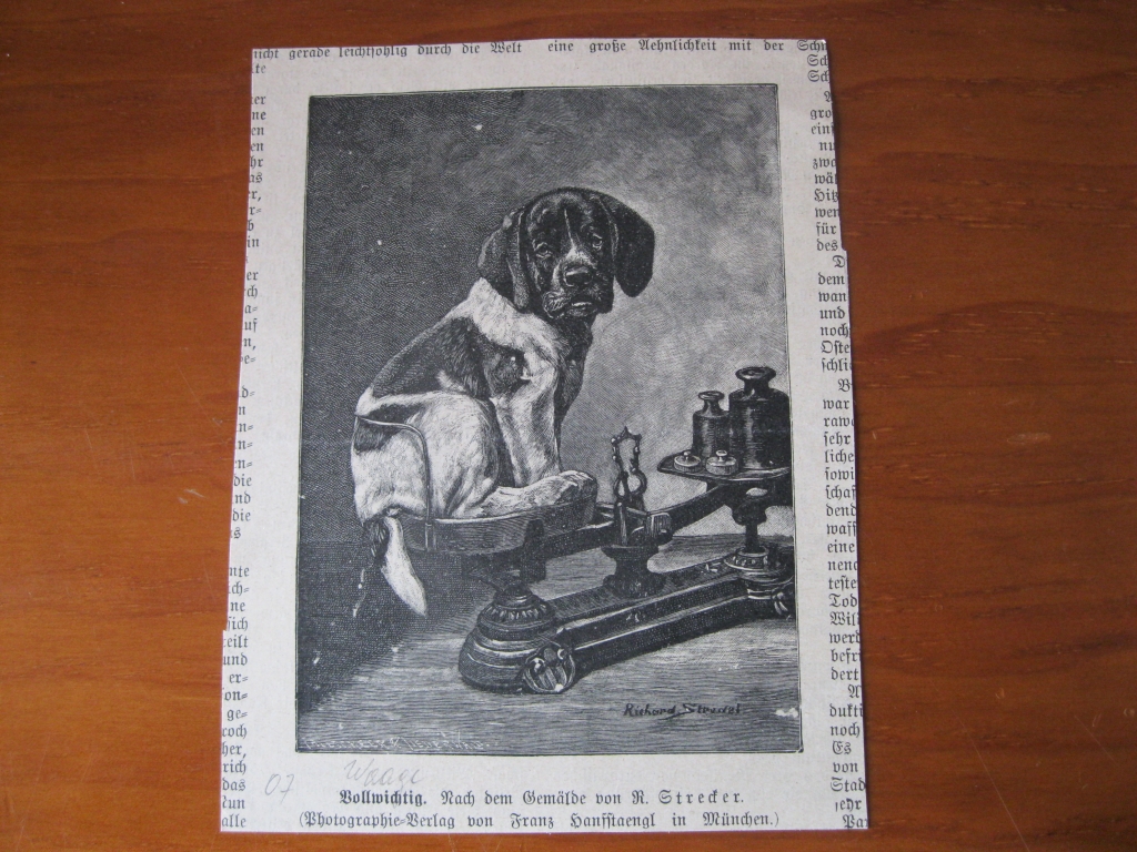 Perro en la balanza y retrato de rey africano, circa 1907. Anónimo